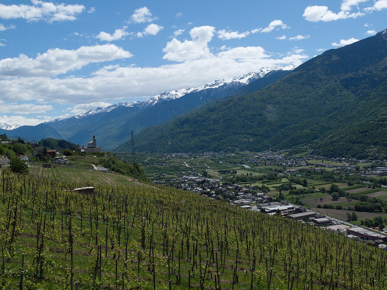 Vigneti terrazzati della Valtellina, Sondrio