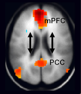 Pasted image 20260606014822.png